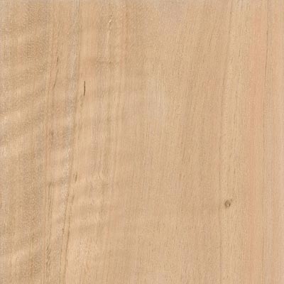 FICHA-TECNICA-MADERA-EUCALIPTO-BLANCO FICHA-TECNICA-MADERA-EUCALIPTO-BLANCO