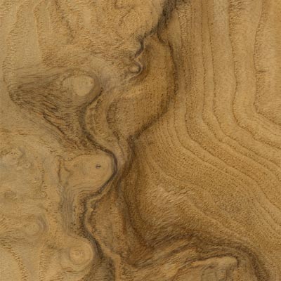 FICHA-TECNICA-MADERA-OLIVO FICHA-TECNICA-MADERA-OLIVO