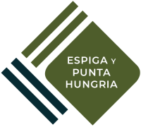 ESPIGA Y PUNTA HUNGRIA